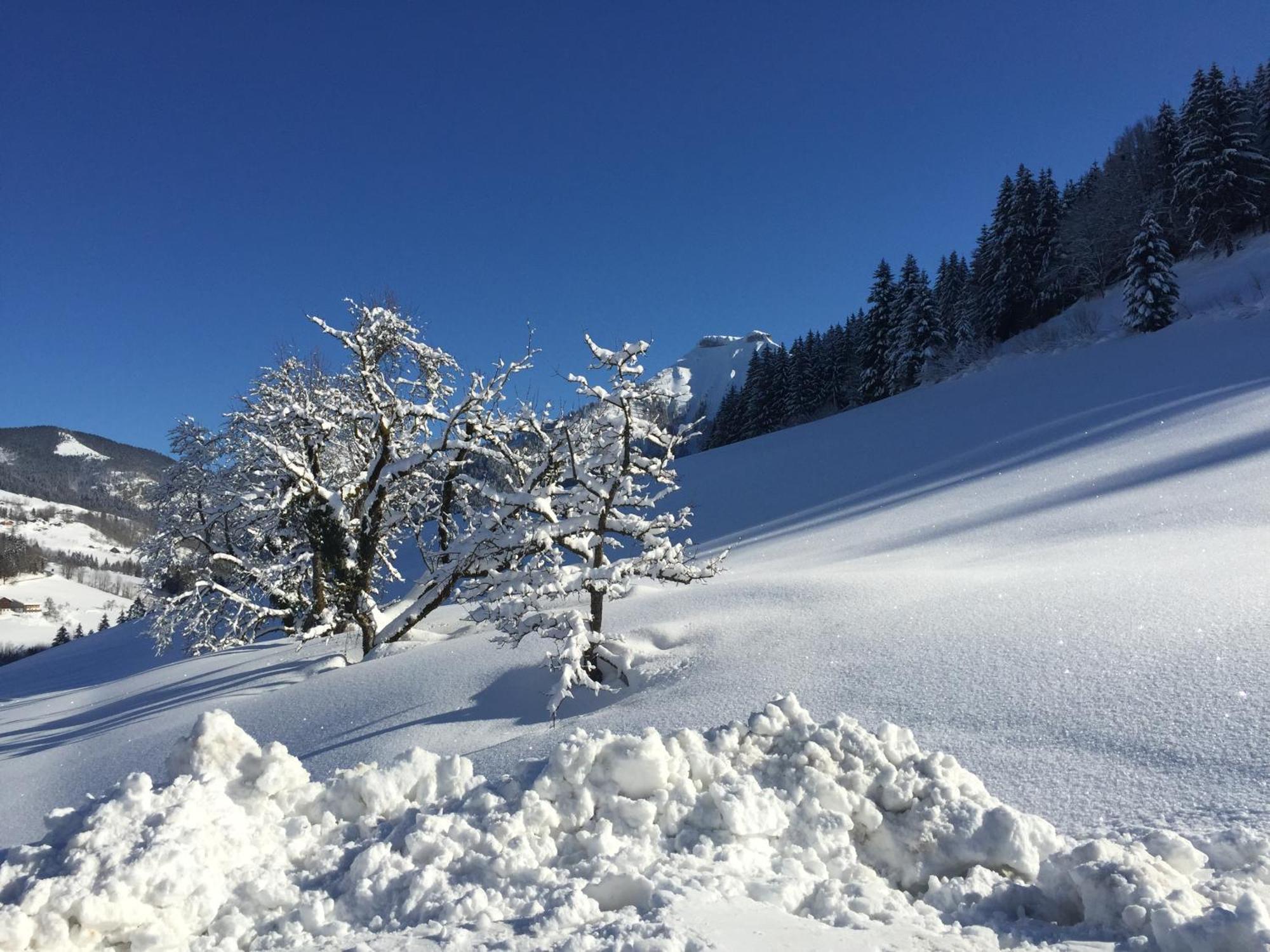 Reithuette Villa Krispl Buitenkant foto